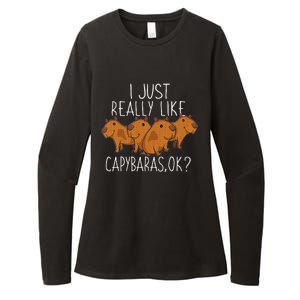 Capybara Lover Womens CVC Long Sleeve Shirt