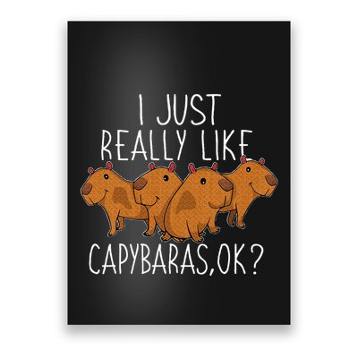 Capybara Lover Poster
