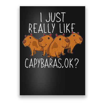 Capybara Lover Poster