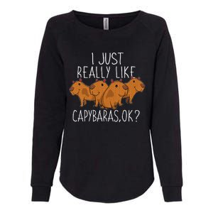 Capybara Lover Womens California Wash Sweatshirt