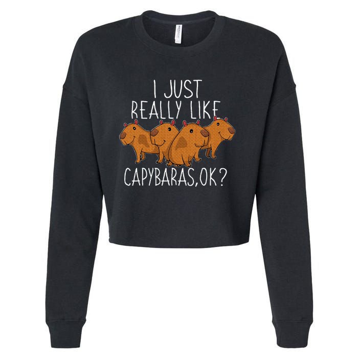 Capybara Lover Cropped Pullover Crew