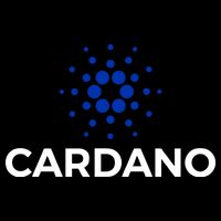 Cardano Logo Crypto Coin Blockchain Toddler Hoodie