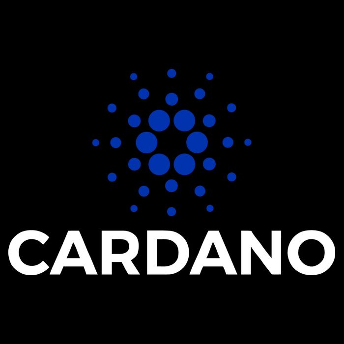 Cardano Logo Crypto Coin Blockchain Toddler Hoodie