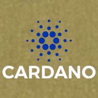 Cardano Logo Crypto Coin Blockchain Garment-Dyed Women's Muscle Tee