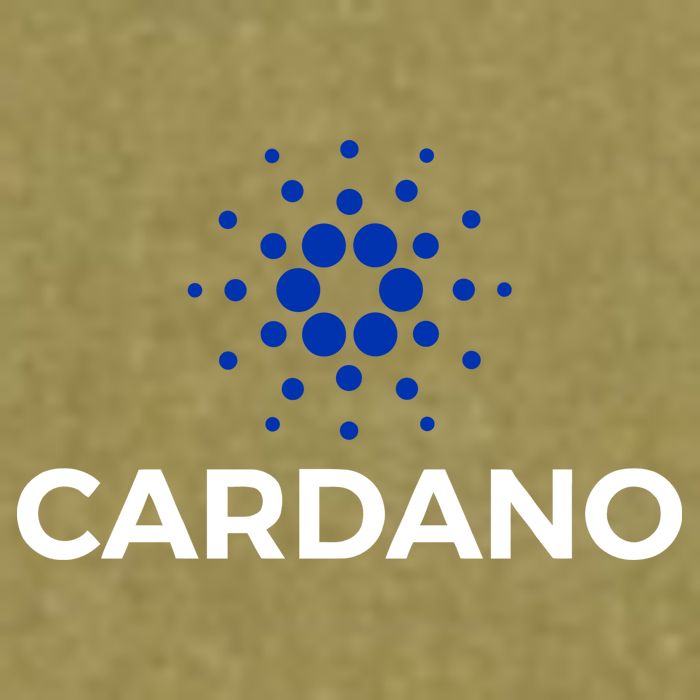 Cardano Logo Crypto Coin Blockchain Garment-Dyed Women's Muscle Tee