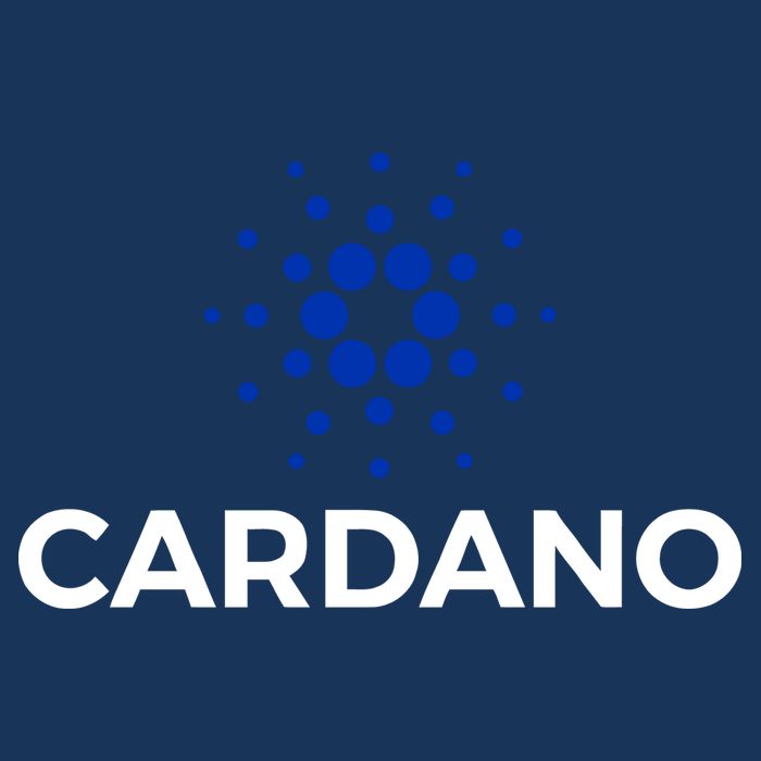 Cardano Logo Crypto Coin Blockchain Infant Baby Jersey Bodysuit
