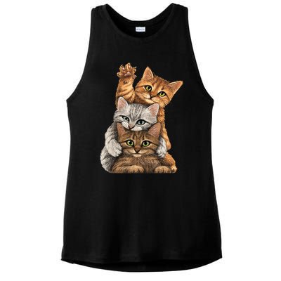 cute little Cats playing build Wall for lovers kitty kittens Ladies PosiCharge Tri-Blend Wicking Tank