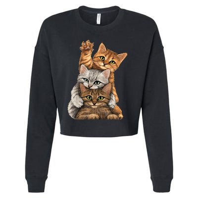 cute little Cats playing build Wall for lovers kitty kittens Cropped Pullover Crew