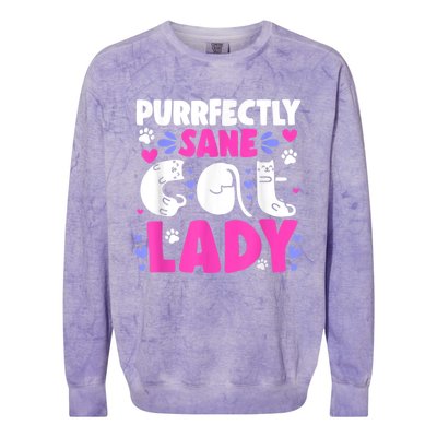 Cat Lady, Cat Lover, Womens Cat Tee, Cat Colorblast Crewneck Sweatshirt