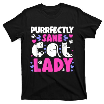 Cat Lady, Cat Lover, Womens Cat Tee, Cat T-Shirt