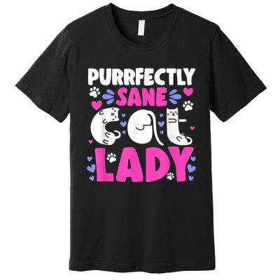 Cat Lady, Cat Lover, Womens Cat Tee, Cat Premium T-Shirt