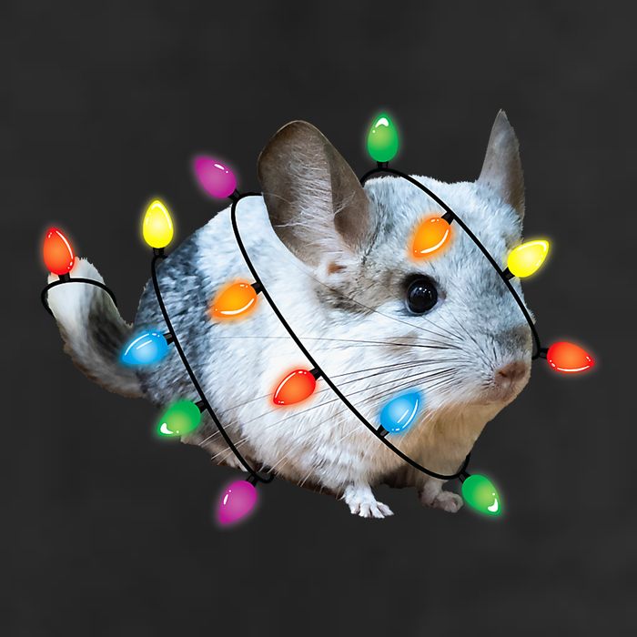 Christmas Lights Chinchilla Funny Xmas Tree Chinchilla 7 Panel Mesh Trucker Snapback Hat