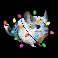 Christmas Lights Chinchilla Funny Xmas Tree Chinchilla Cooling Performance Long Sleeve Crew