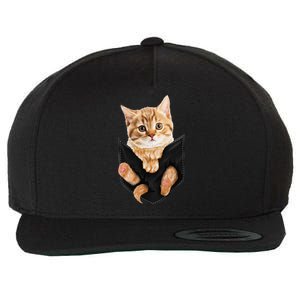 Cat Lover Cat In Pocket Kitten Lover Cute Cat Cat Owner Wool Snapback Cap