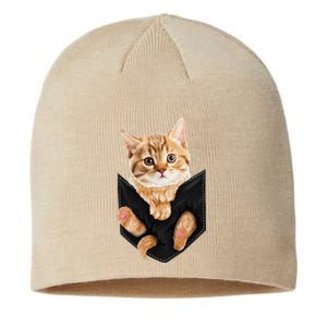 Cat Lover Cat In Pocket Kitten Lover Cute Cat Cat Owner Sustainable Beanie