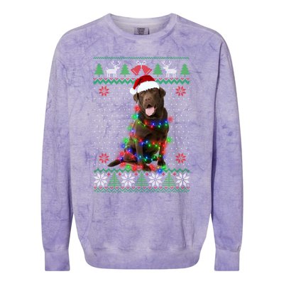 Chocolate Lab Dog Ugly Sweater Christmas Puppy Dog Lover Gift Colorblast Crewneck Sweatshirt