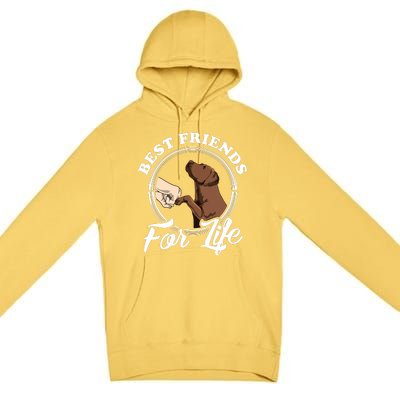 Chocolate Labrador Design Funny Chocolate Labrador Lovers Premium Pullover Hoodie