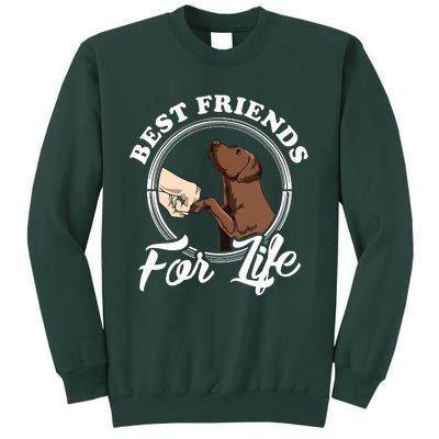 Chocolate Labrador Design Funny Chocolate Labrador Lovers Sweatshirt