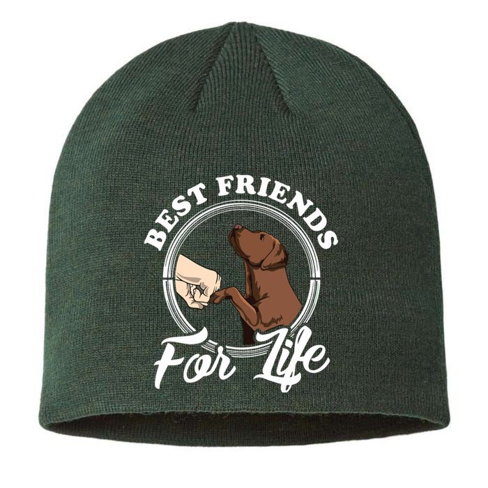 Chocolate Labrador Design Funny Chocolate Labrador Lovers Sustainable Beanie