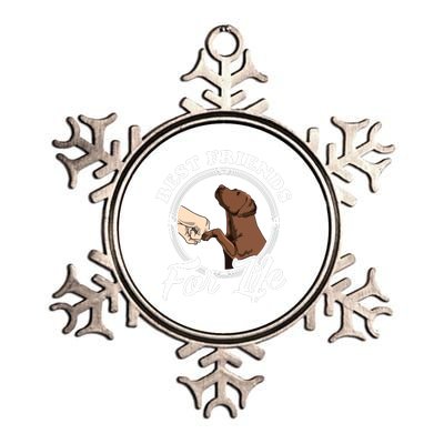 Chocolate Labrador Design Funny Chocolate Labrador Lovers Metallic Star Ornament