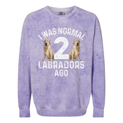 Cute Labrador Design For Labrador Retriever Lovers Colorblast Crewneck Sweatshirt