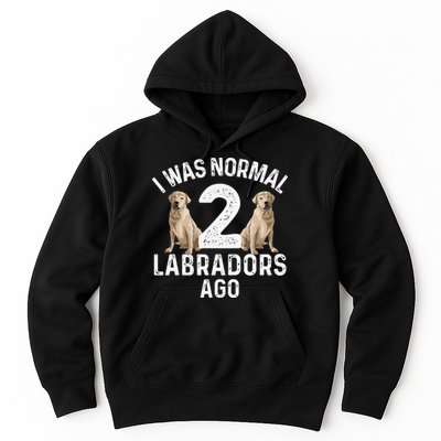 Cute Labrador Design For Labrador Retriever Lovers Hoodie