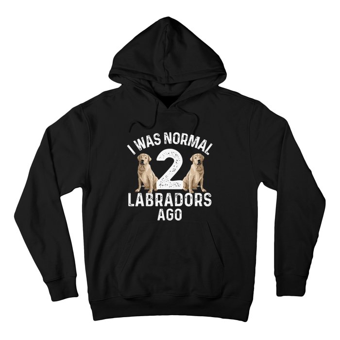 Cute Labrador Design For Labrador Retriever Lovers Hoodie