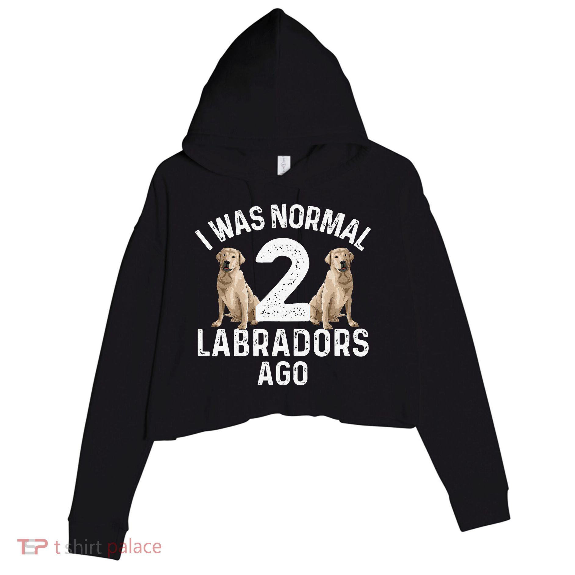 Cute Labrador Design For Labrador Retriever Lovers Crop Fleece Hoodie