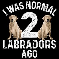 Cute Labrador Design For Labrador Retriever Lovers Wool Snapback Cap