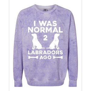 Cute Labrador Design For Men Women Labrador Retriever Lovers Colorblast Crewneck Sweatshirt