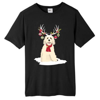 Cute Labradoodle Doodle Christmas Reindeer Graphic Holiday Gift Tall Fusion ChromaSoft Performance T-Shirt