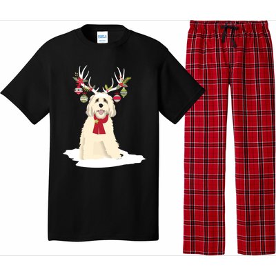 Cute Labradoodle Doodle Christmas Reindeer Graphic Holiday Gift Pajama Set