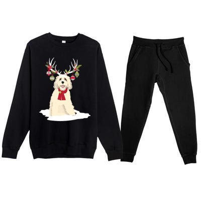 Cute Labradoodle Doodle Christmas Reindeer Graphic Holiday Gift Premium Crewneck Sweatsuit Set