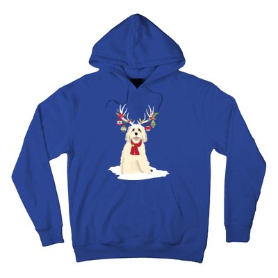 Cute Labradoodle Doodle Christmas Reindeer Graphic Holiday Gift Hoodie