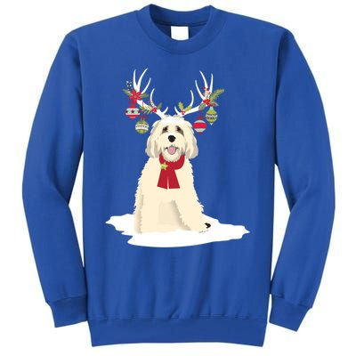 Cute Labradoodle Doodle Christmas Reindeer Graphic Holiday Gift Tall Sweatshirt