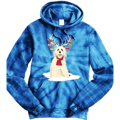 Cute Labradoodle Doodle Christmas Reindeer Graphic Holiday Gift Tie Dye Hoodie