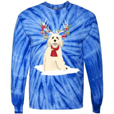 Cute Labradoodle Doodle Christmas Reindeer Graphic Holiday Gift Tie-Dye Long Sleeve Shirt