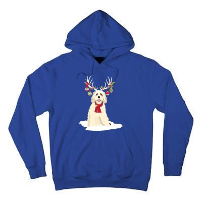 Cute Labradoodle Doodle Christmas Reindeer Graphic Holiday Gift Tall Hoodie