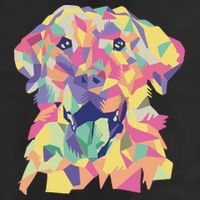 Colorful Labrador Dog Hat
