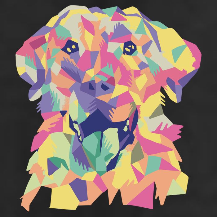 Colorful Labrador Dog Hat