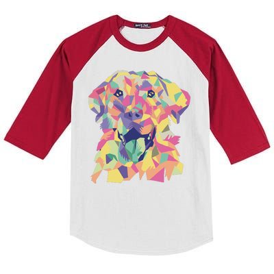 Colorful Labrador Dog Kids Colorblock Raglan Jersey