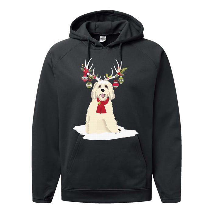 Cute Labradoodle Doodle Christmas Reindeer Graphic Holiday Performance Fleece Hoodie