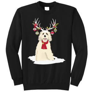 Cute Labradoodle Doodle Christmas Reindeer Graphic Holiday Sweatshirt