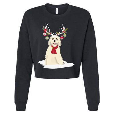 Cute Labradoodle Doodle Christmas Reindeer Graphic Holiday Cropped Pullover Crew