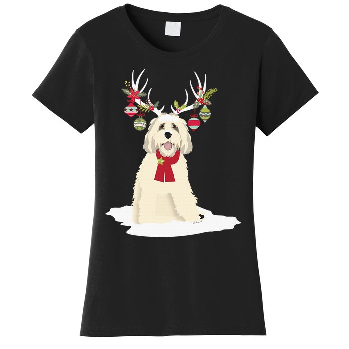 Cute Labradoodle Doodle Christmas Reindeer Graphic Holiday Women's T-Shirt