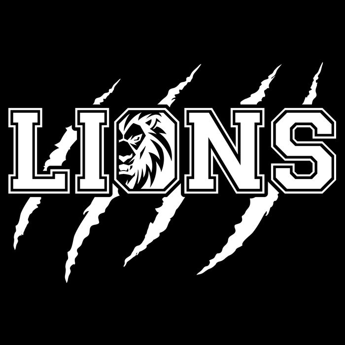 Cool Lions Detroit Football Michigan Cooling Performance Crew T-Shirt