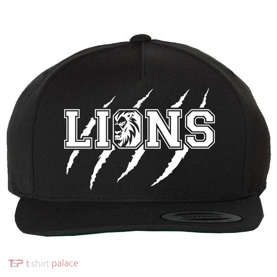 Cool Lions Detroit Football Michigan Wool Snapback Cap