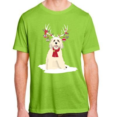 Cute Labradoodle Doodle Christmas Reindeer Graphic Holiday Gift Adult ChromaSoft Performance T-Shirt