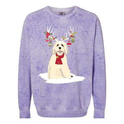 Cute Labradoodle Doodle Christmas Reindeer Graphic Holiday Gift Colorblast Crewneck Sweatshirt