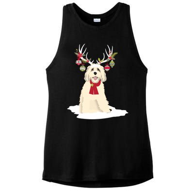 Cute Labradoodle Doodle Christmas Reindeer Graphic Holiday Gift Ladies PosiCharge Tri-Blend Wicking Tank